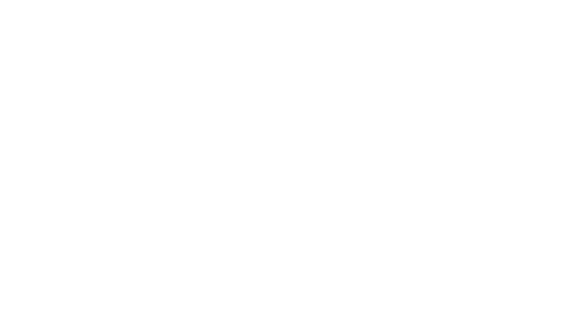 95.5 WSB Logo